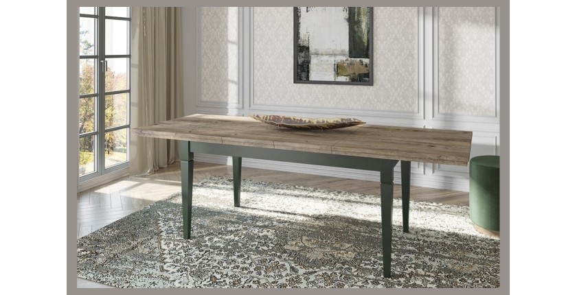 Ensemble de 4 meubles pour salle à manger coloris vert et chêne. Collection ASSIA