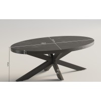 Table basse ovale collection MADEIRO noir.