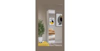 Armoire 1 porte avec miroir pour dressing collection MODULO coloris blanc avec LED incluses.