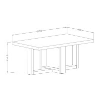 Table basse design rectangulaire collection COXI Coloris chêne et noir