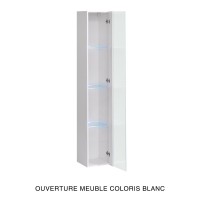 Vitrine suspendue grise avec 1 porte vitrée et éclairage LED inclus. Collection SWITCH.