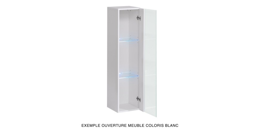 Vitrine suspendue noire petit modèle avec 1 porte vitrée et éclairage LED inclus. Collection SWITCH.