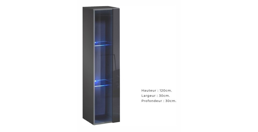 Vitrine suspendue grise petit modèle avec 1 porte vitrée et éclairage LED inclus. Collection SWITCH.