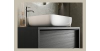 Meuble de salle de bain suspendu avec évier et 2 tiroirs, collection FRASSI. Coloris noir cendré