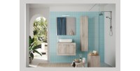 Meuble de salle de bain suspendu, 1porte, collection CISA. Coloris blanc effet bois