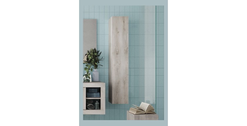 Meuble de salle de bain suspendu, 1porte, collection CISA. Coloris blanc effet bois