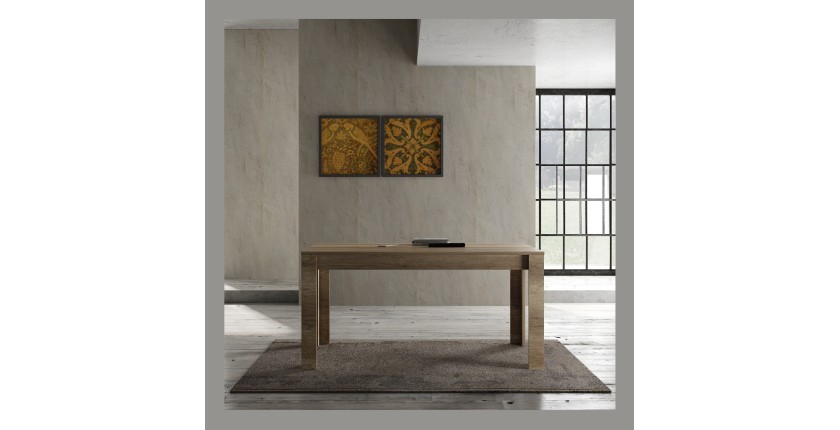 Table 160x90cm, collection HOL, coloris chêne foncé