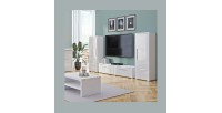Meuble TV 160cm Collection RIO. 1 porte abattante, coloris blanc brillant. Style design
