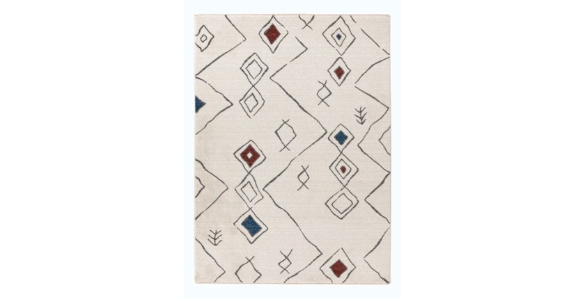 Tapis 230x160cm, design A305R coloris multicolore - Confort et élégance pour votre intérieur