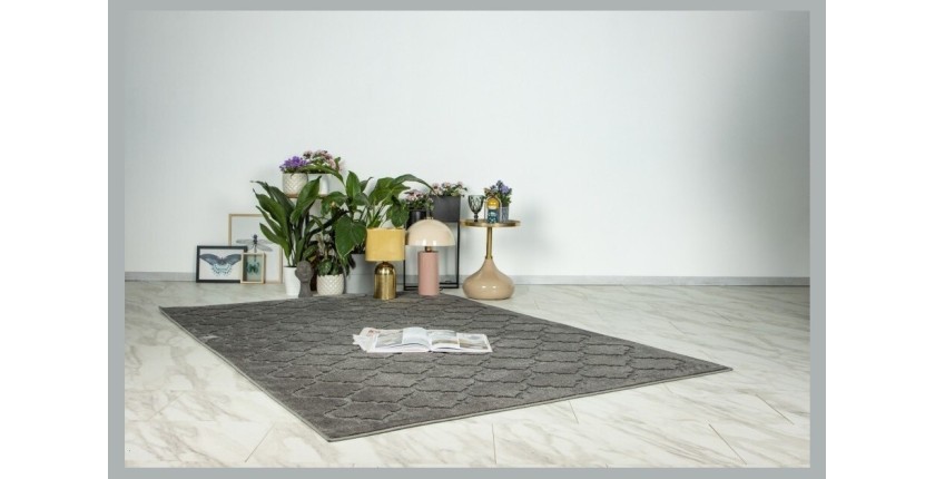 Tapis 300x80cm, design A102A coloris gris - Confort et élégance pour votre intérieur