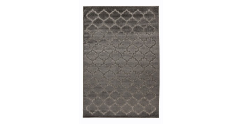 Tapis 290x200cm, design A102A coloris gris - Confort et élégance pour votre intérieur