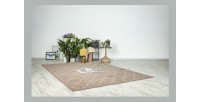 Tapis 230x160cm, design A102A coloris taupe - Confort et élégance pour votre intérieur