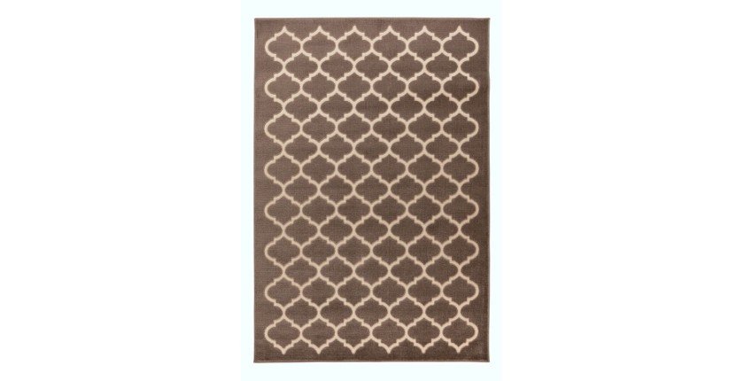 Tapis 230x160cm, design A102A coloris taupe - Confort et élégance pour votre intérieur