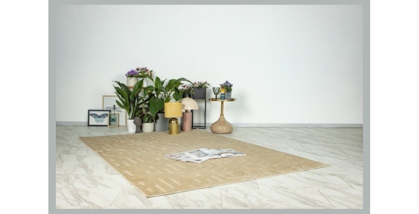 Tapis 300x80cm, design A202A coloris beige - Confort et élégance pour votre intérieur