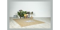 Tapis 170x120cm, design A202A coloris beige - Confort et élégance pour votre intérieur