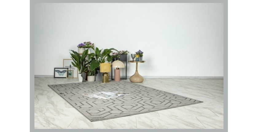 Tapis 300x80cm, design A202A coloris gris - Confort et élégance pour votre intérieur