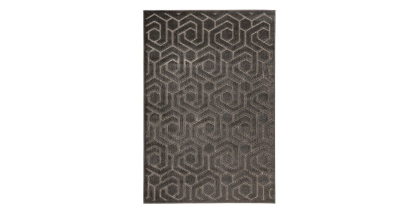 Tapis 300x80cm, design A202A coloris gris - Confort et élégance pour votre intérieur