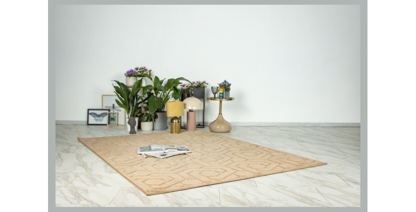 Tapis 300x80cm, design A202A coloris taupe - Confort et élégance pour votre intérieur