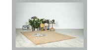 Tapis 170x120cm, design A202A coloris taupe - Confort et élégance pour votre intérieur