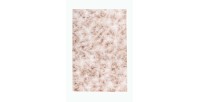 Tapis 170x120cm, design B005O coloris beige - Confort et élégance pour votre intérieur