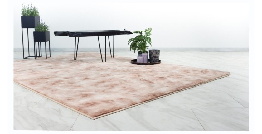 Tapis 230x160cm, design B005O coloris beige - Confort et élégance pour votre intérieur