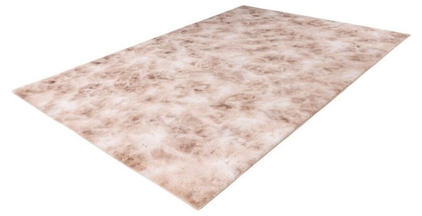 Tapis 230x160cm, design B005O coloris beige - Confort et élégance pour votre intérieur