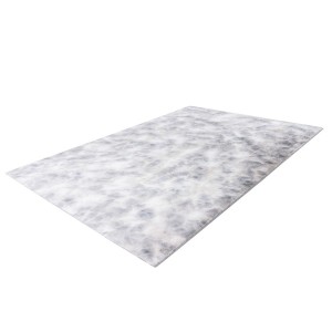 Tapis 170x120cm, design B005O coloris gris - Confort et élégance pour votre intérieur