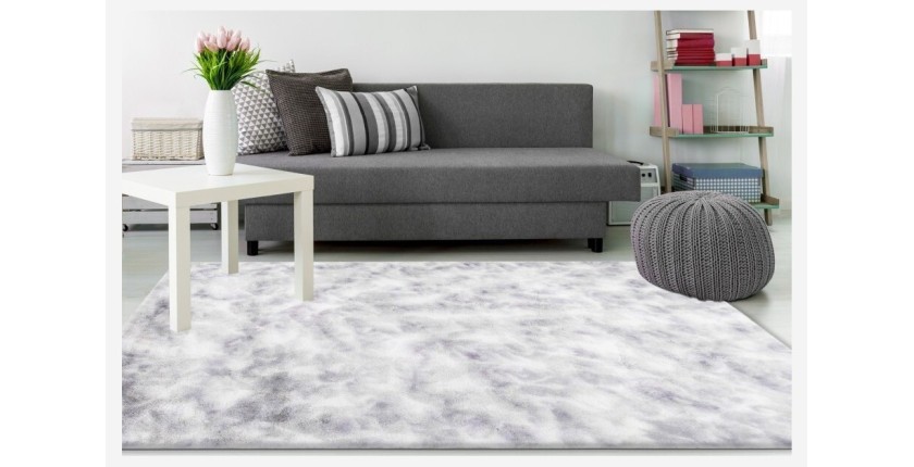 Tapis 170x120cm, design B005O coloris gris - Confort et élégance pour votre intérieur