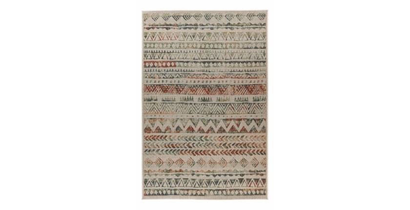 Tapis 290x200cm, design C503I coloris multicolore - Confort et élégance pour votre intérieur