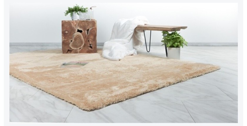 Tapis 170x120cm, design C005D coloris sable - Confort et élégance pour votre intérieur