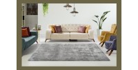 Tapis 290x200cm, design C005D coloris argent - Confort et élégance pour votre intérieur