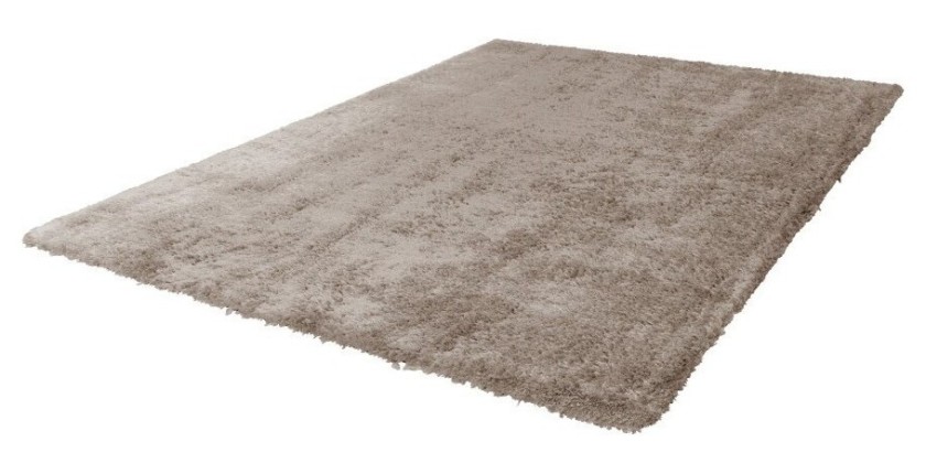 Tapis 150x80cm, design C005D coloris taupe - Confort et élégance pour votre intérieur