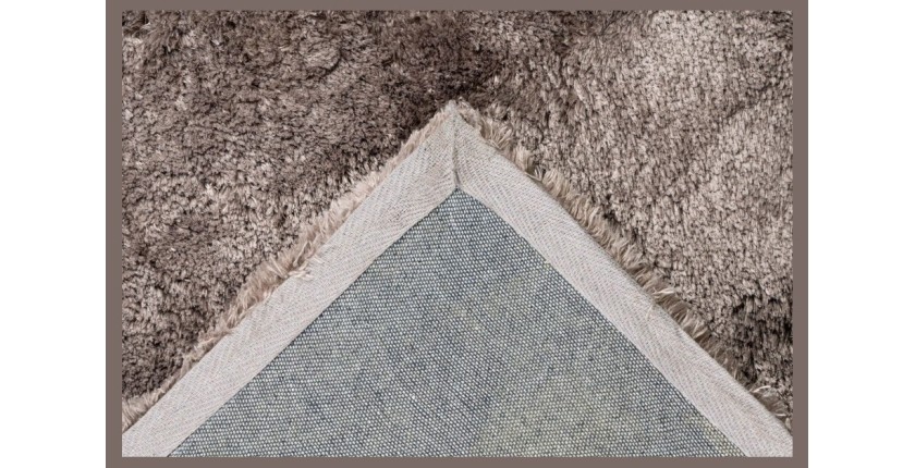 Tapis 170x120cm, design C005D coloris taupe - Confort et élégance pour votre intérieur