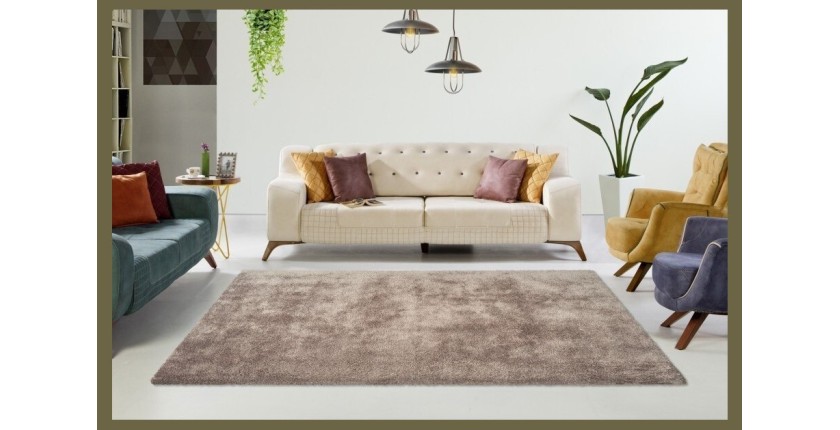 Tapis 230x160cm, design C005D coloris taupe - Confort et élégance pour votre intérieur