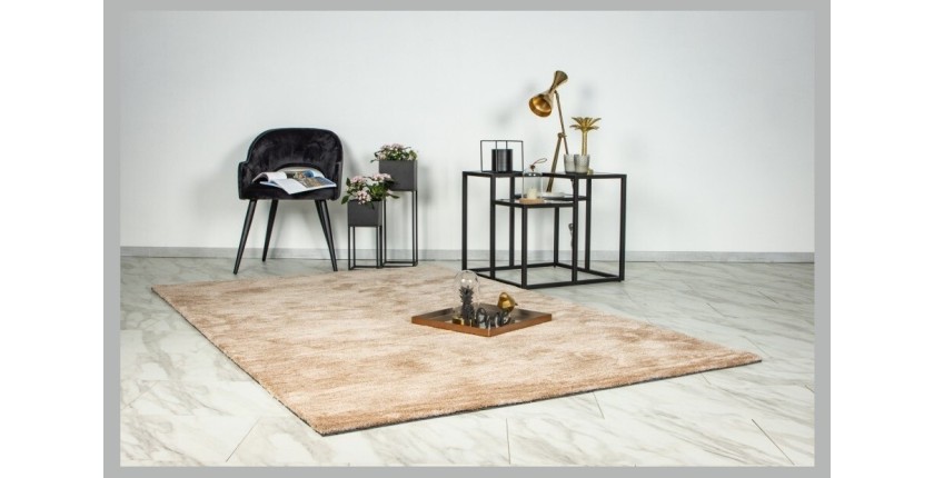 Tapis 170x120cm, design C007Y coloris beige - Confort et élégance pour votre intérieur