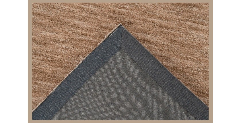 Tapis 230x160cm, design C007Y coloris beige - Confort et élégance pour votre intérieur