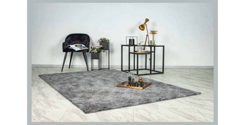 Tapis 170x120cm, design C007Y coloris argent - Confort et élégance pour votre intérieur