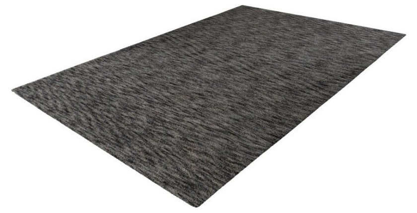 Tapis 170x120cm, design C007Y coloris argent - Confort et élégance pour votre intérieur