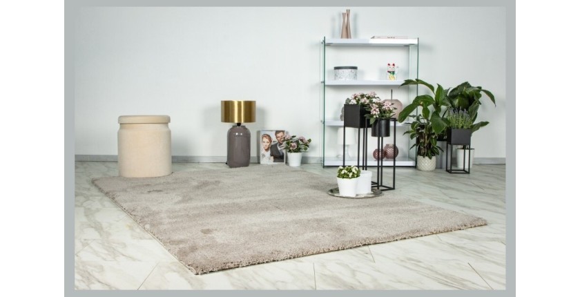 Tapis 170x120cm, design D005M coloris beige - Confort et élégance pour votre intérieur