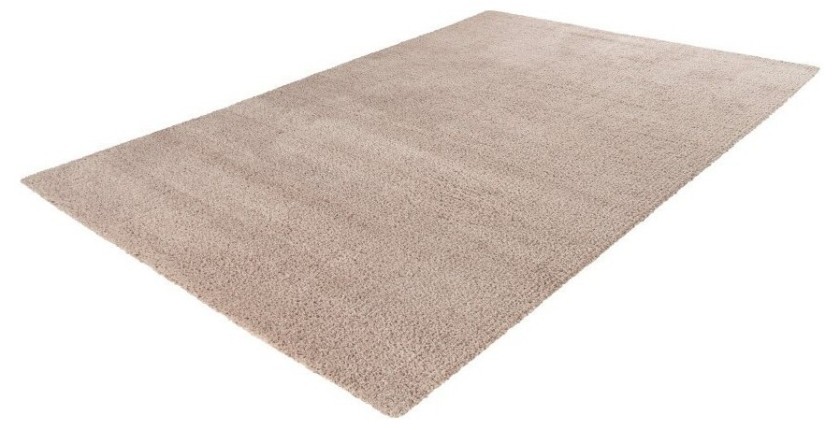 Tapis 170x120cm, design D005M coloris beige - Confort et élégance pour votre intérieur