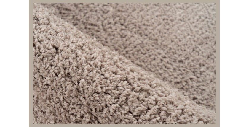 Tapis 230x160cm, design D005M coloris beige - Confort et élégance pour votre intérieur