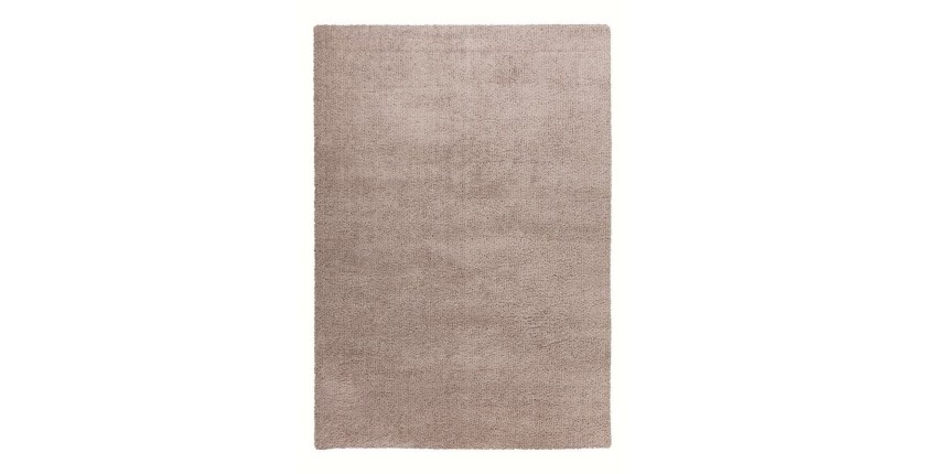 Tapis 230x160cm, design D005M coloris beige - Confort et élégance pour votre intérieur