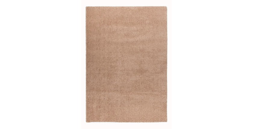 Tapis 170x120cm, design D005M coloris champagne - Confort et élégance pour votre intérieur