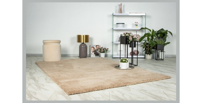 Tapis 230x160cm, design D005M coloris champagne - Confort et élégance pour votre intérieur