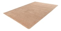 Tapis 290x200cm, design D005M coloris champagne - Confort et élégance pour votre intérieur