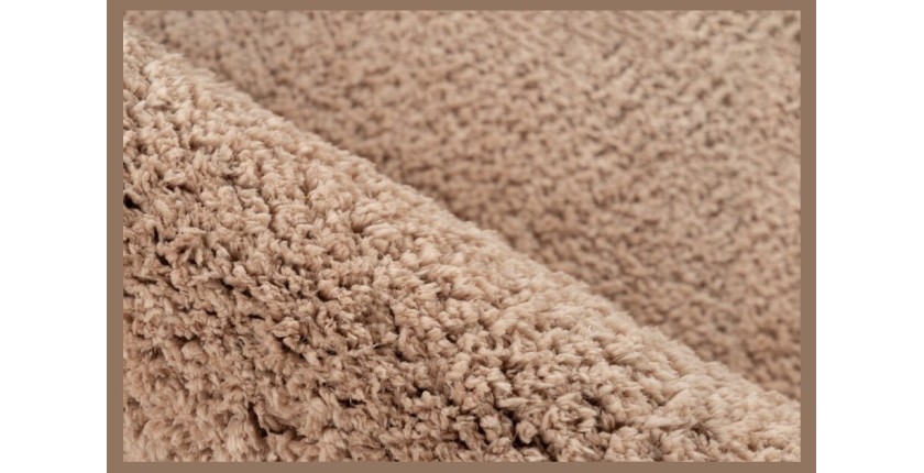 Tapis 290x200cm, design D005M coloris champagne - Confort et élégance pour votre intérieur