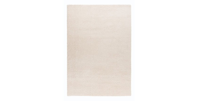 Tapis 290x200cm, design D005M coloris ivoire - Confort et élégance pour votre intérieur