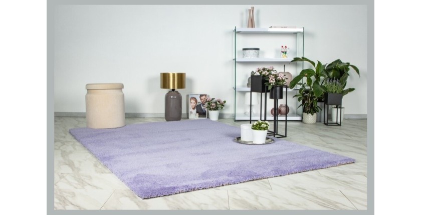 Tapis 290x200cm, design D005M coloris lavande - Confort et élégance pour votre intérieur