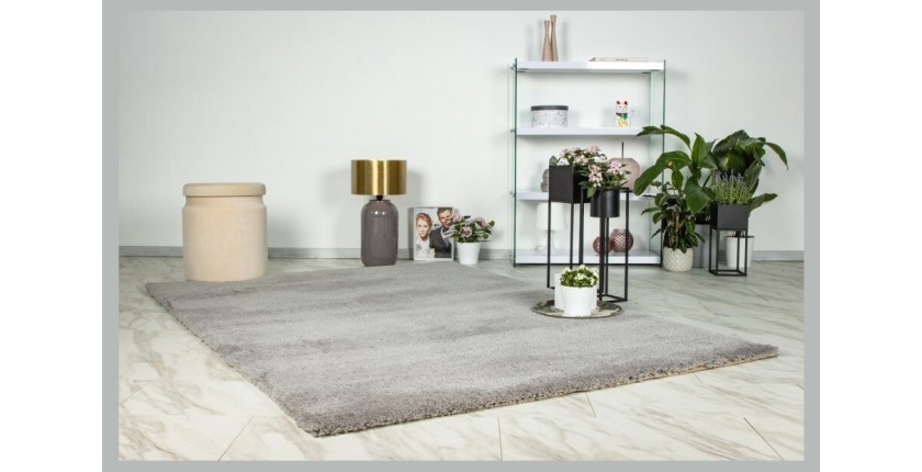 Tapis 170x120cm, design D005M coloris argent - Confort et élégance pour votre intérieur