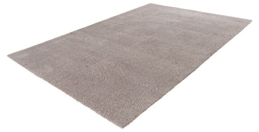 Tapis 170x120cm, design D005M coloris argent - Confort et élégance pour votre intérieur